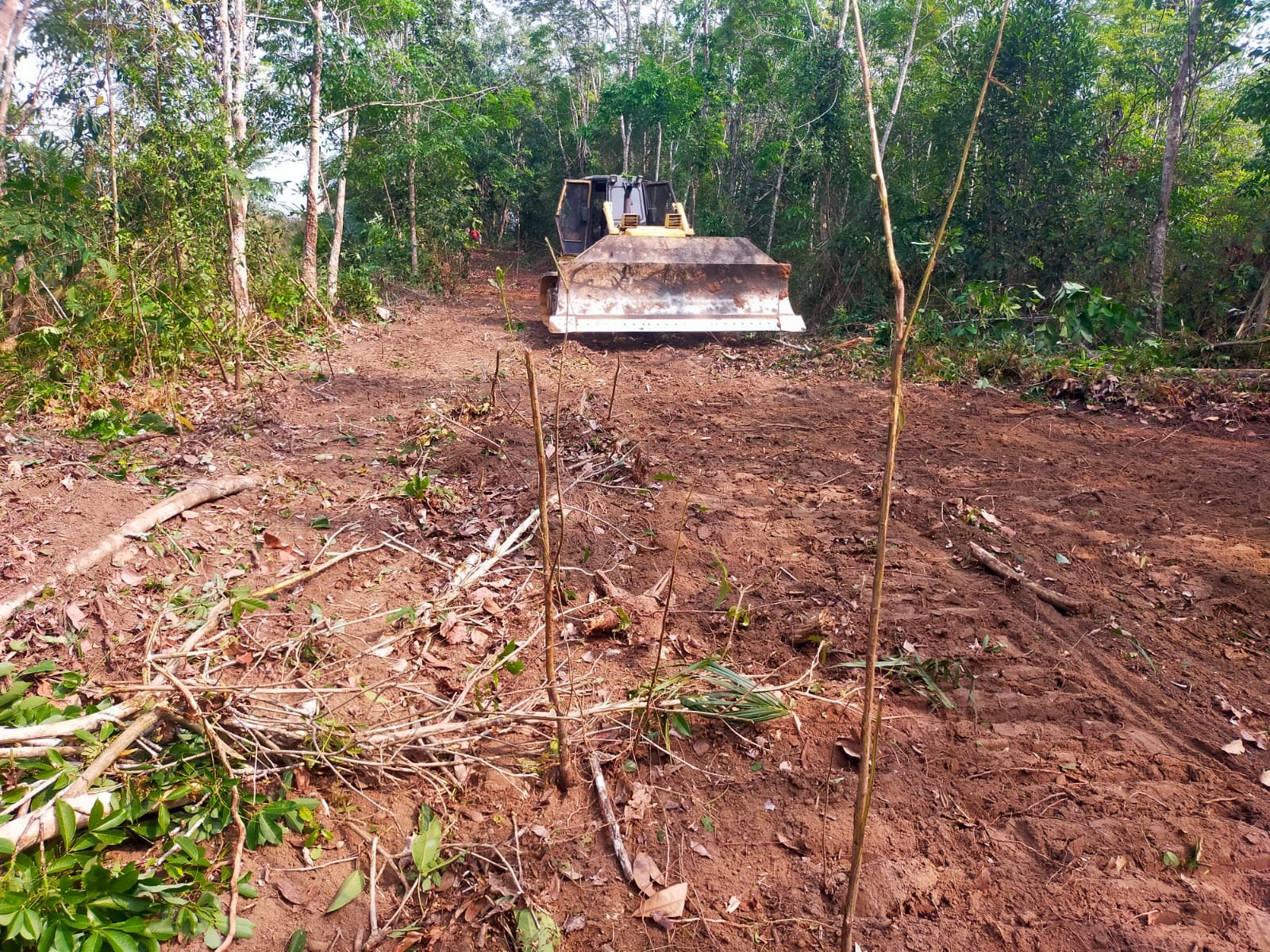 TMMD ke-130: Upaya TNI Memajukan Infrastruktur Desa